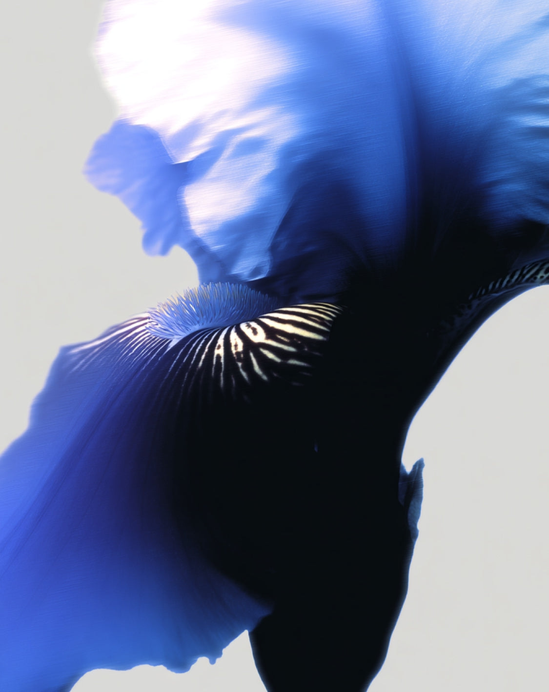 Future without Futurism