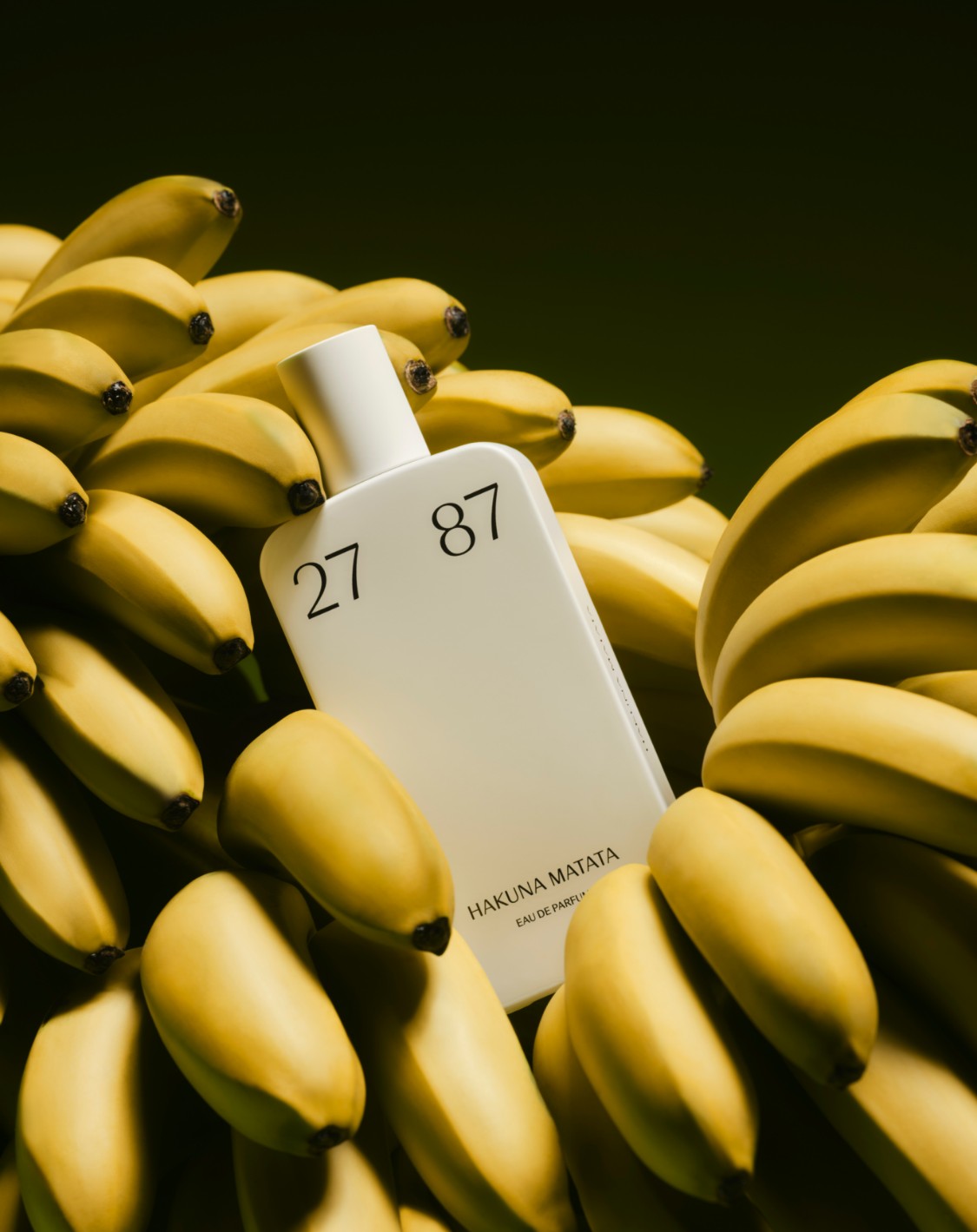 2787_HakunaMatata_Interview.