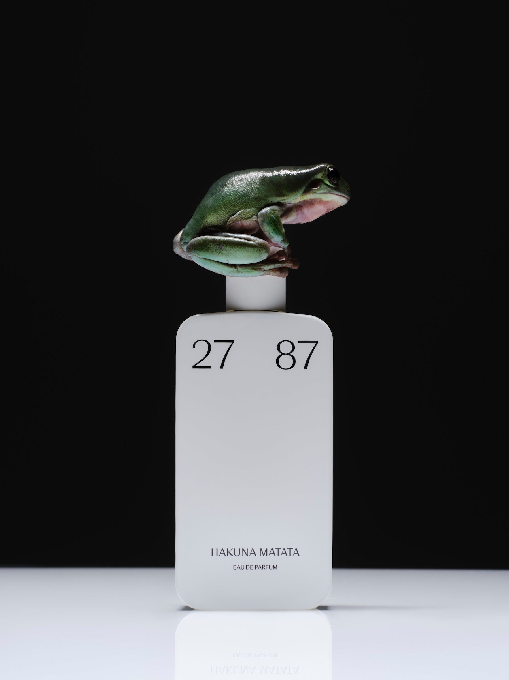 2787_hakunamatata0187.jpg?v=