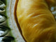 2024 DURIAN